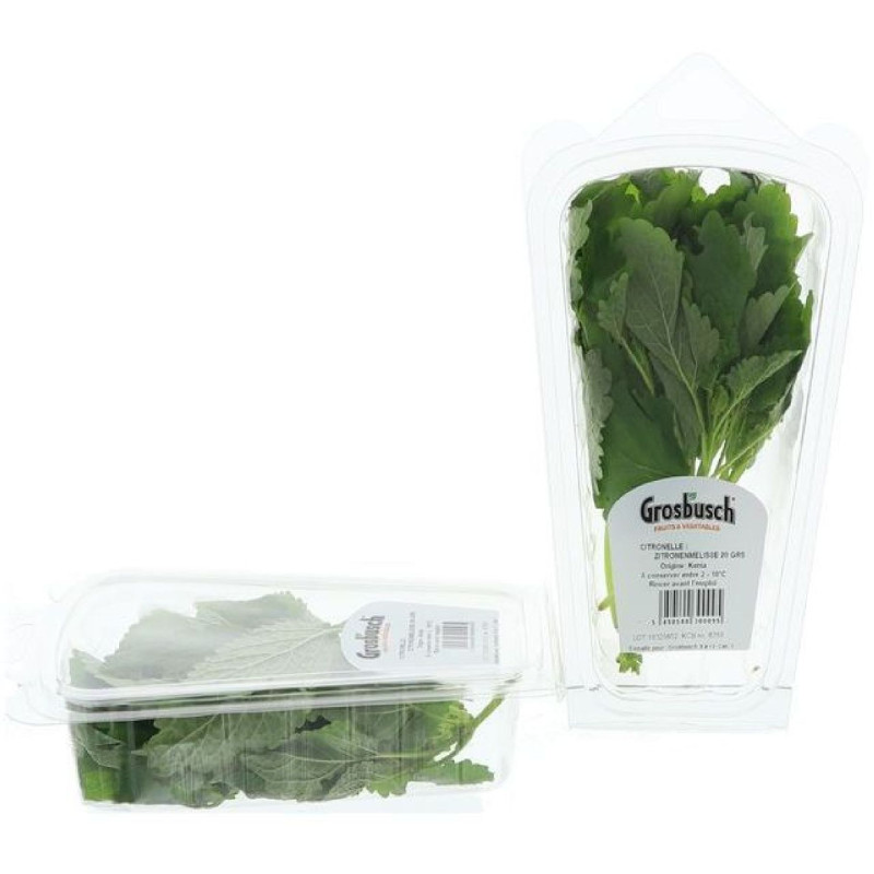 CITRONNELLE GROSBUSCH 12X20G